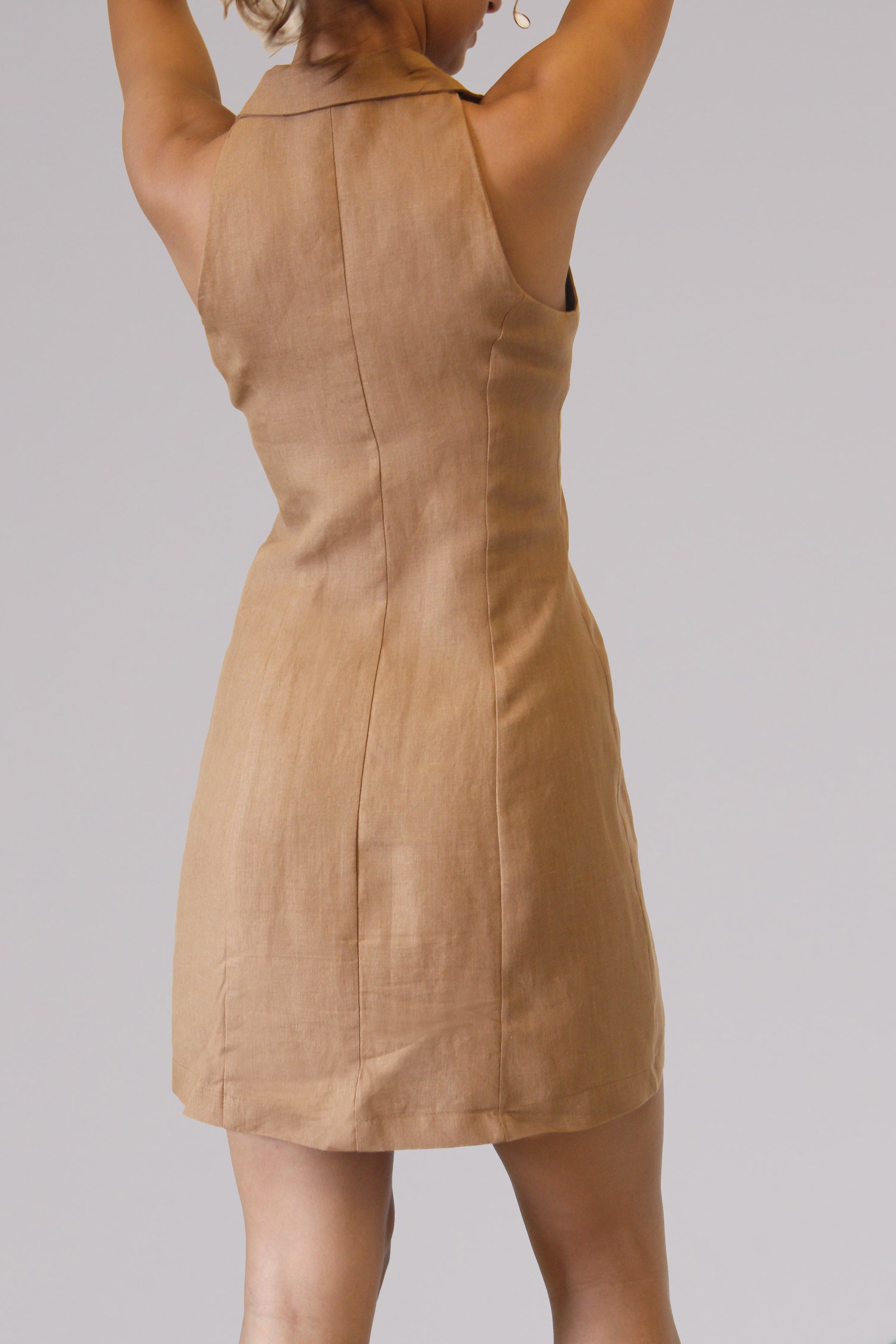 Glimpse Dress